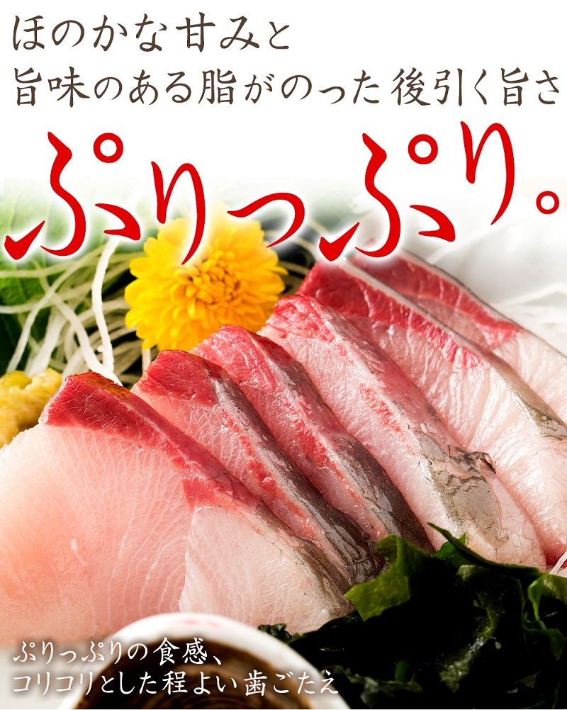 オリーブはまち１本まるごと【予約受付：令和7年10月中旬頃から出荷開始！】【C-311】