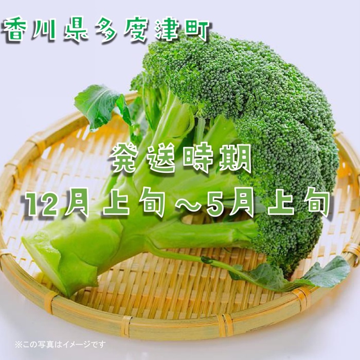 繝悶Ο繝繧ウ繝ェ繝シ縲險ウ縺ゅj邏4.5kg縲繧オ繧、繧コ縺翫∪縺九○縲植-142縲