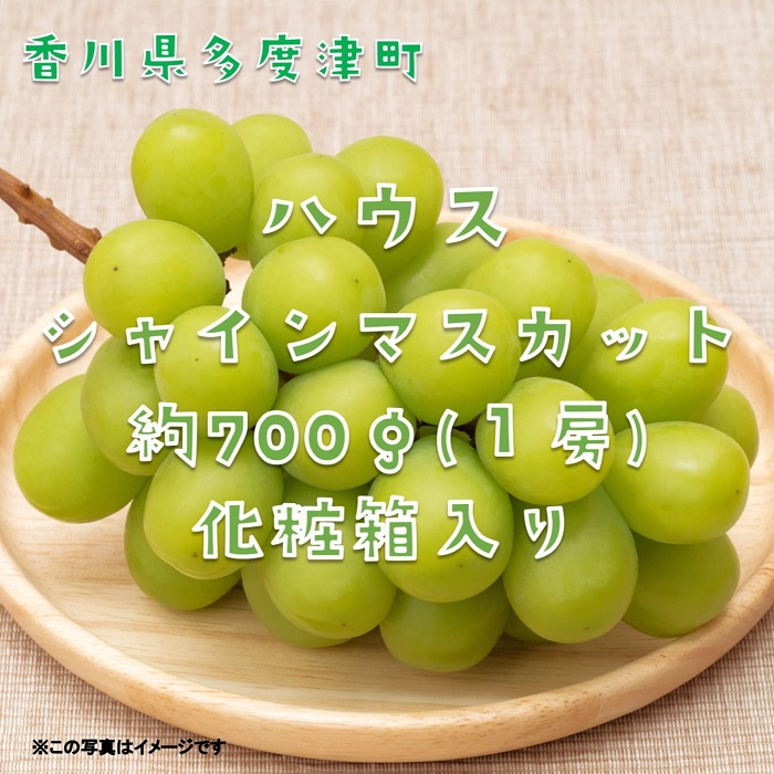 ハウスシャインマスカット　１房　化粧箱【令和8年7月下旬頃発送!予約受付中!】【B-35】