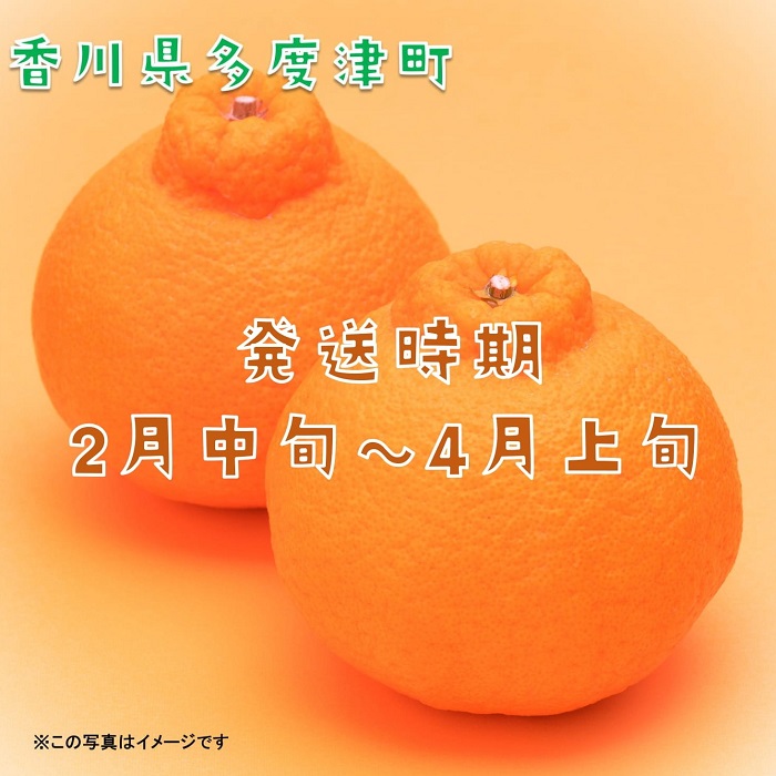 不知火（デコポン）約3kg【予約受付中！令和9年2月中旬より発送】【A-42】
