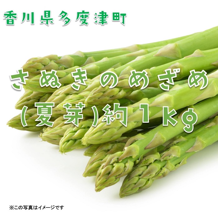 さぬきのめざめ（夏芽）【令和8年6月中旬より発送！予約受付中！】【A-27】