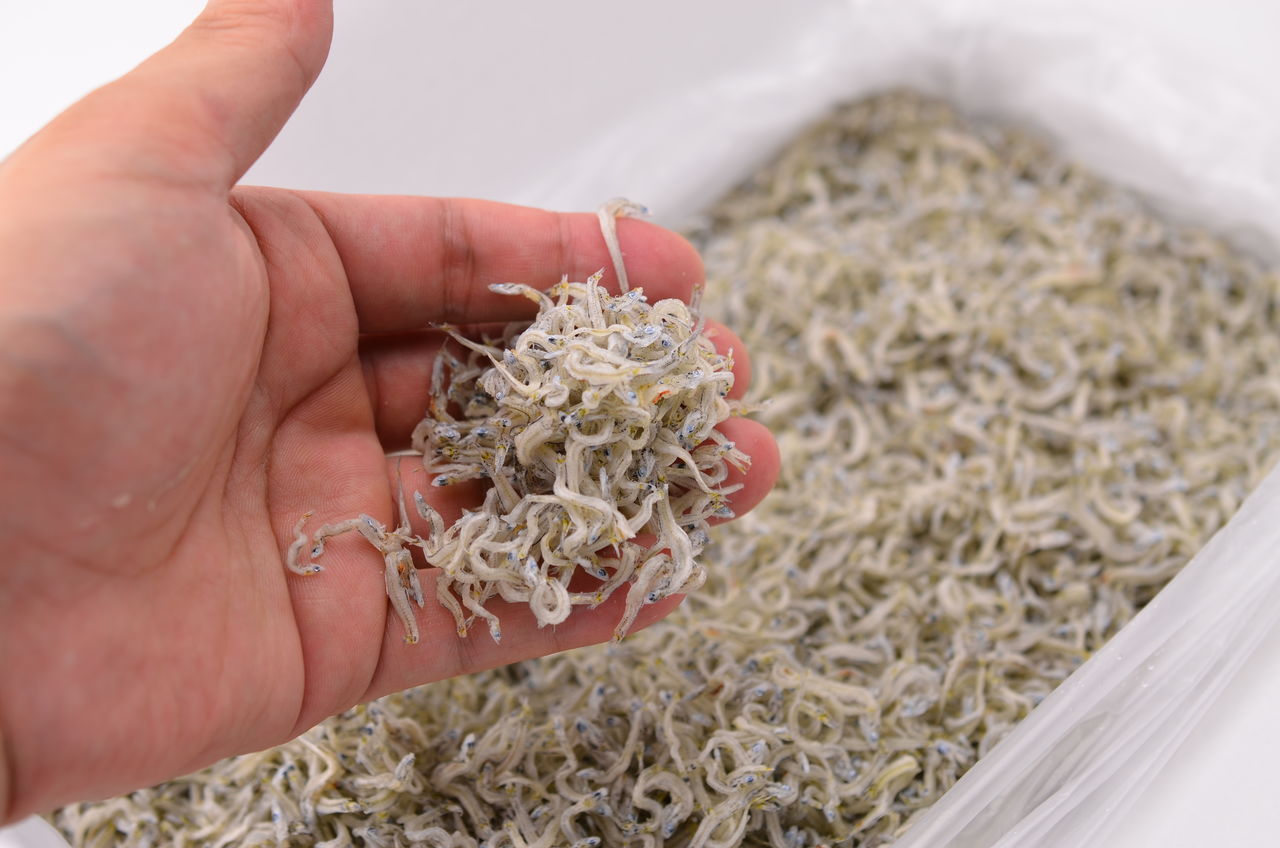 ã¡ããããããïŒïŒãäºçŽåä»äžïŒ 什å8幎6æããçºéïŒæ¬ã« ç²ãç«ãŠçºéïŒãäžä¹Ÿã¡ãããïŒ1kgïŒãA-5ã