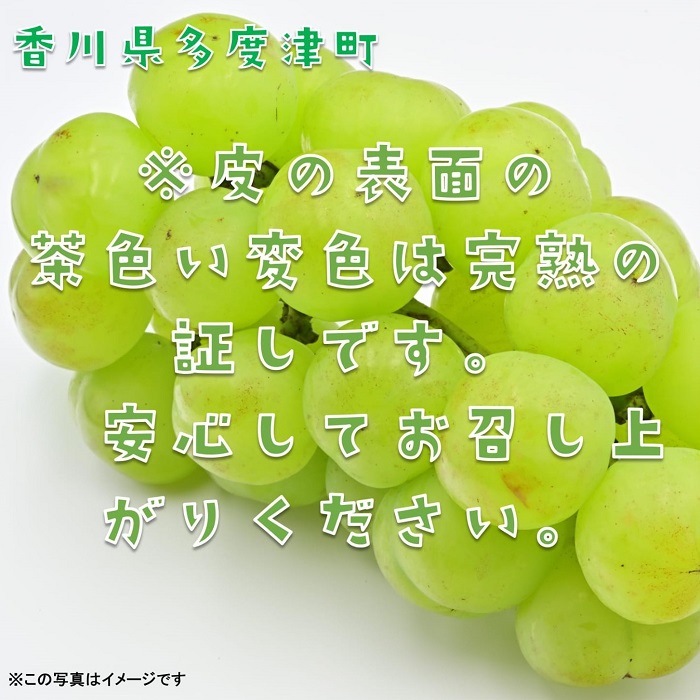 å€åºŠæŽ¥çºç£ ç¬æžãžã£ã€ã¢ã³ããçŽ1.2kgã什å8幎9æäžæ¬é ããçºéïŒããA-45ã