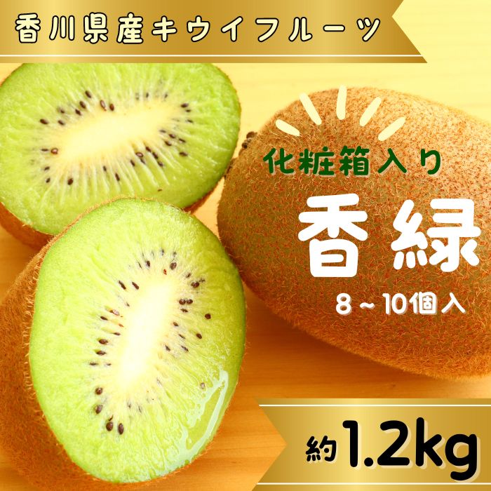 香緑（キウイフルーツ）1.2kg 8～10個 化粧箱入り【予約受付中！令和7年11月中旬頃より発送！】【A-111】