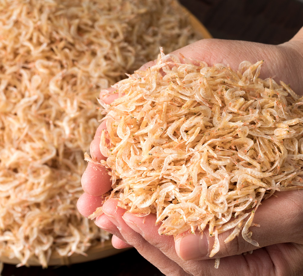 也ç¥ã¢ãã¢ãã300ïœãA-25ã