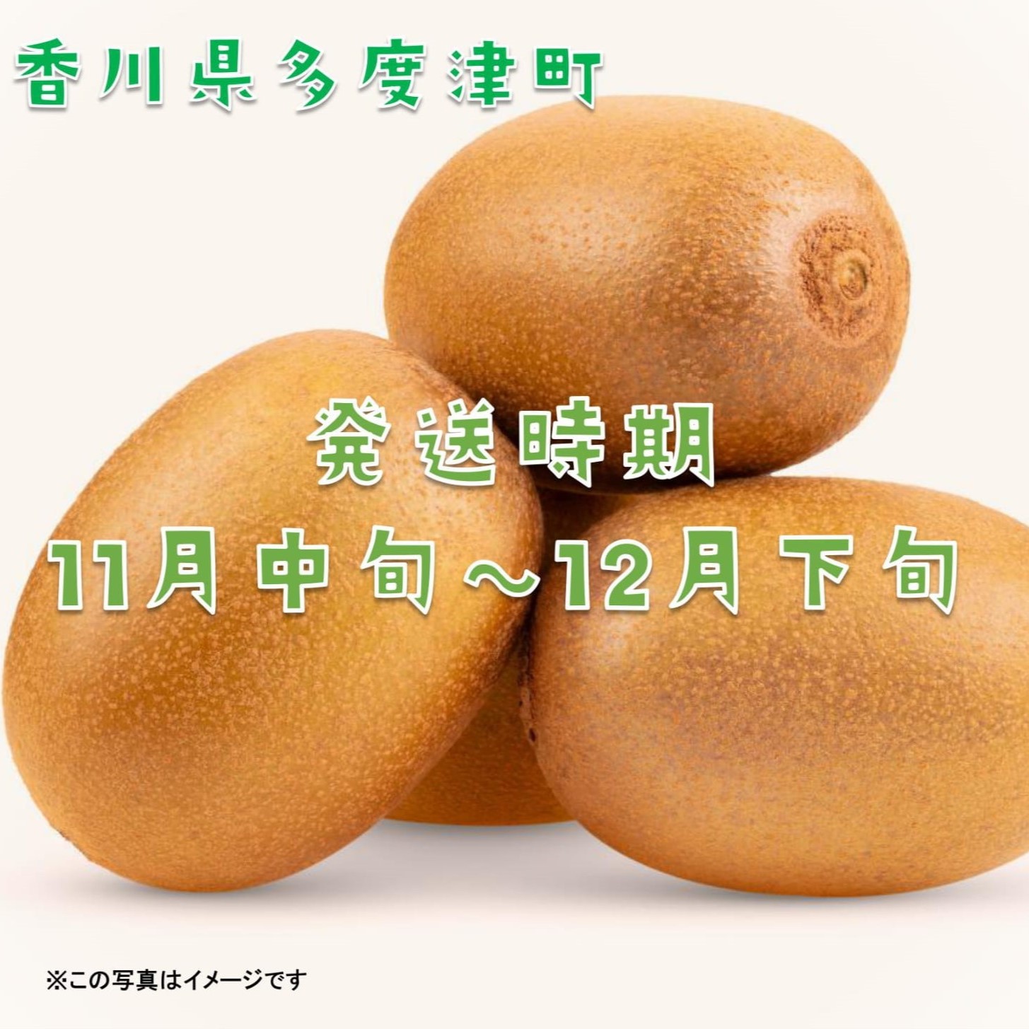 香川県オリジナルキウイフルーツ「さぬきキウイっこ約1.3kg【予約受付中！令和8年11月上旬頃から発送】【A-46】