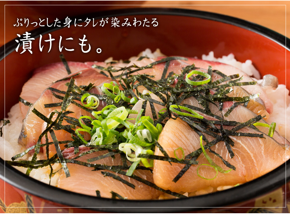 オリーブはまち１本まるごと【予約受付：令和7年10月中旬頃から出荷開始！】【C-311】