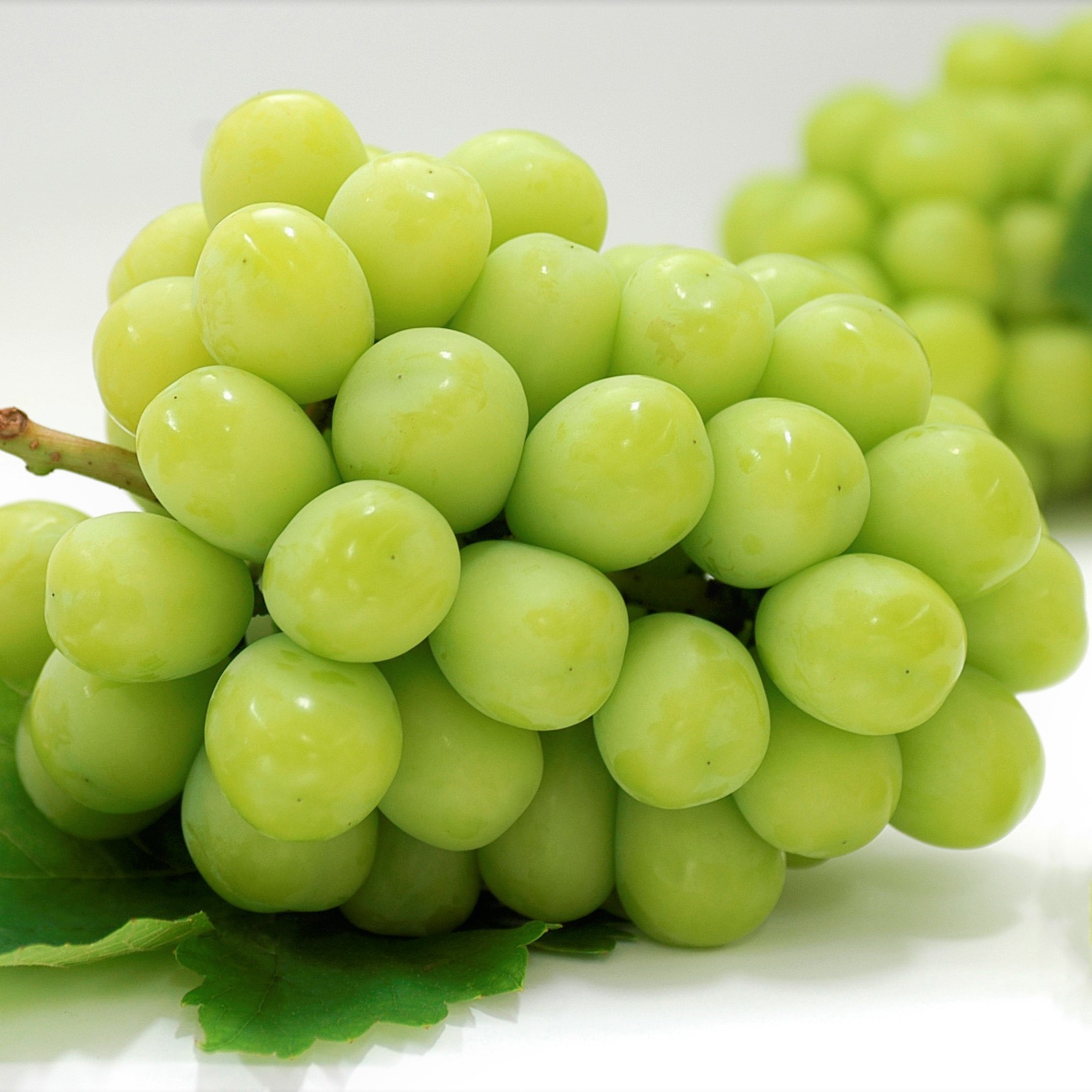 【フルーツ定期便】さぬき讃フルーツ６種類 旬のフルーツを１種類ずつお届け【G-4】