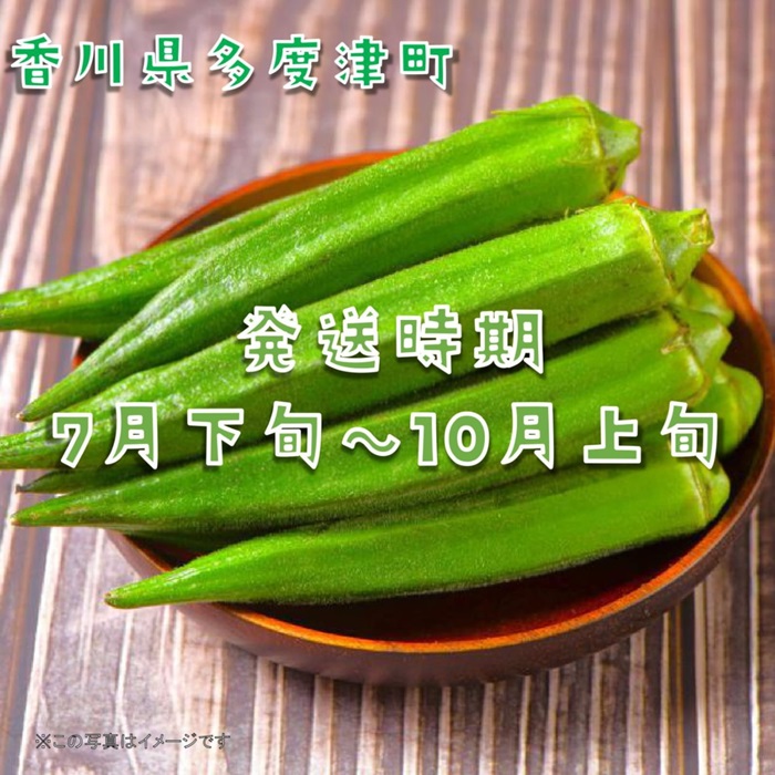 繧ェ繧ッ繝ゥ邏1.4kg縲20繝阪ャ繝医∪縺溘ッ繝舌Λ隧ー繧√植-143縲