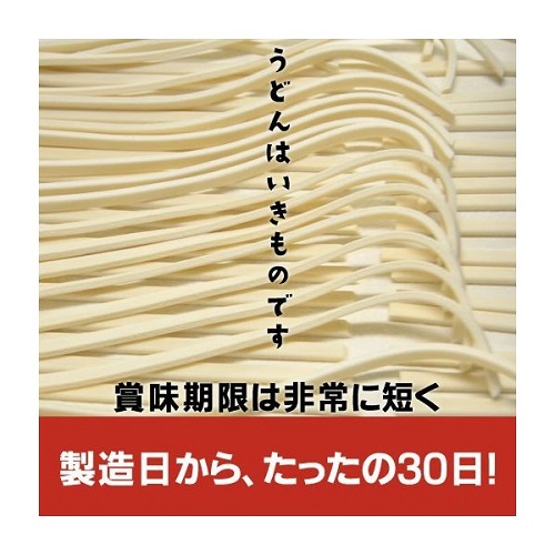 しあわせ製麺の本場讃岐純生うどん大盛45人前 つゆ付き【H-39】