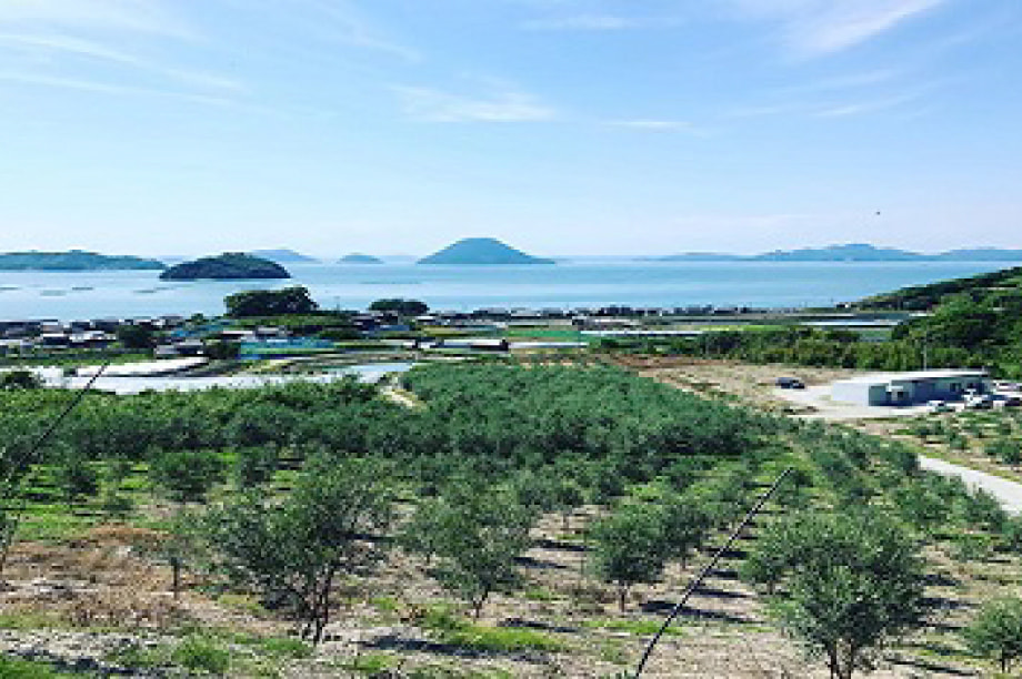 1．生活・自然環境の整備に関する事業