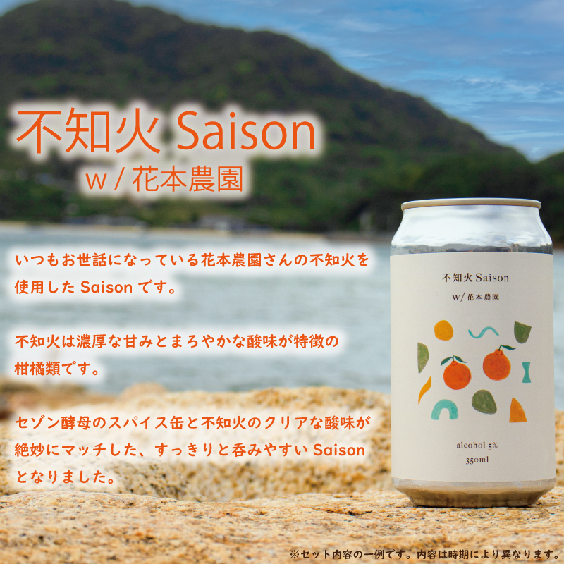 おまかせ興居島うまれのクラフトビール12本セット お酒 地ビール ご当地 ビール アルコール セット 愛媛県 松山市