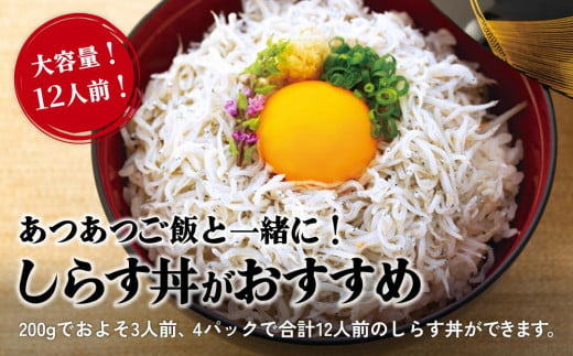 しらす 釜揚げ 800g ( 200g × 4パック ) 冷凍 小分け 約12人前 しらす丼 丼ぶり 魚 さかな ご飯 ごはん 炒飯 チャーハン パスタ スパゲティ サラダ 卵焼き 釜揚げ 釜揚げしらす お取り寄せ グルメ 人気 おすすめ 愛媛県 松山市