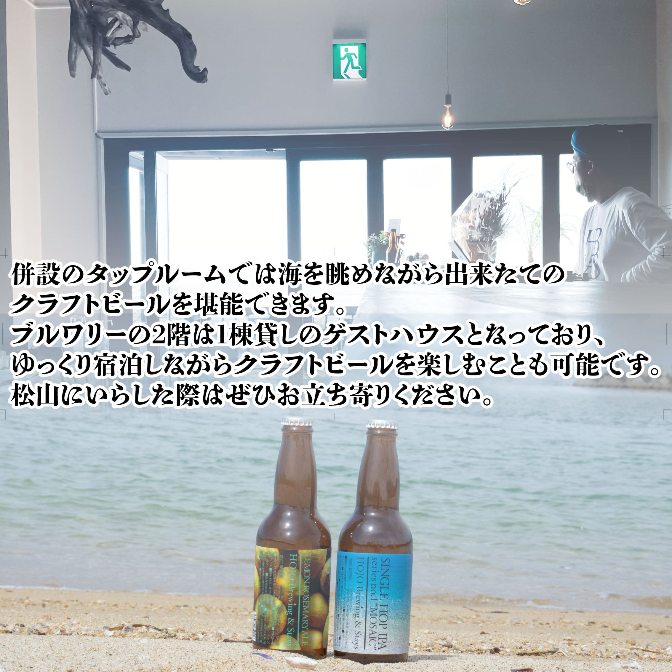 クラフトビール おまかせ 5本セット ビール 地ビール クラフトビール飲み比べ  瓶ビール 愛媛県 松山市