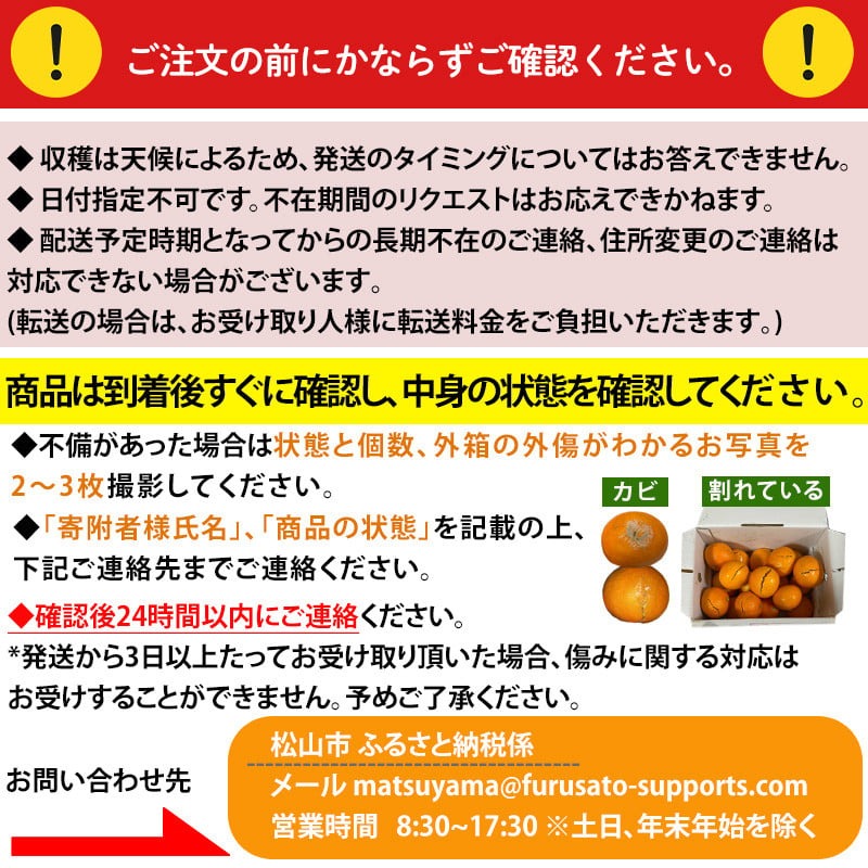 【先行予約】【2025年2月上旬頃発送】玉井農園のいよかん 10kg（3L～Lサイズ） 愛媛 みかん 蜜柑 柑橘 いよかん フルーツ 伊予柑 愛媛県 松山市