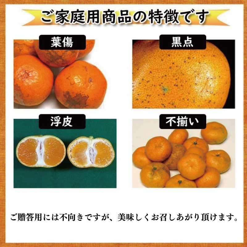 訳あり みかん 家庭用 不知火 しらぬい 約5㎏ 訳あり みかん 訳あり柑橘 訳あり商品 不知火 しらぬい みかん 柑橘 でこぽん デコポン と同品種 松山 愛媛県