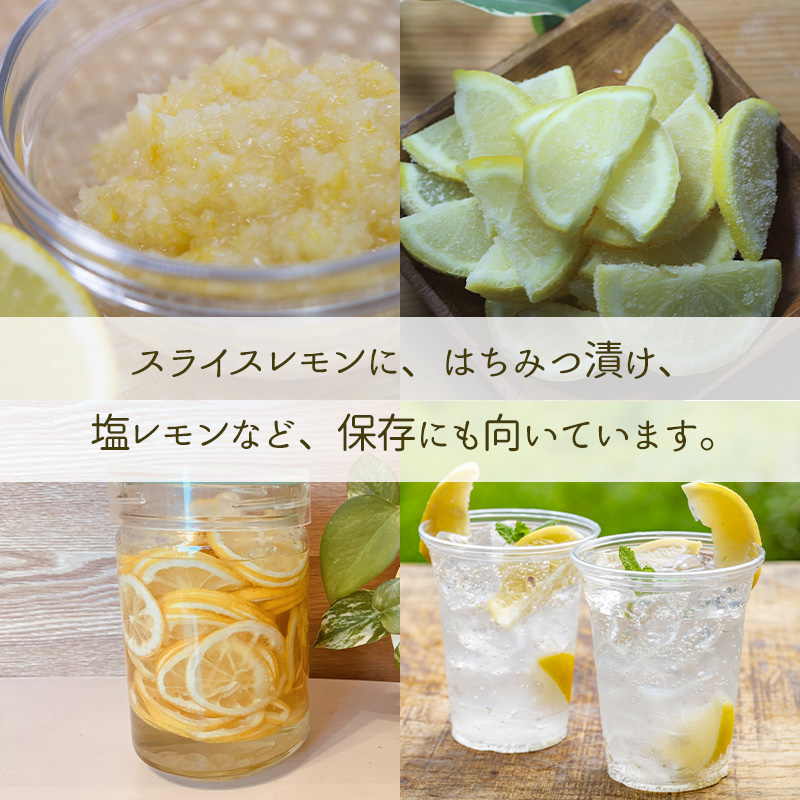 【先行予約】 【イエローレモン】 【 2026年1月上旬から発送】 約5kg 防腐剤 ワックス 不使用｜ 訳あり レモン 檸檬 完熟 柑橘 酸味 国産 愛媛県産 訳あり 新鮮 愛媛 松山