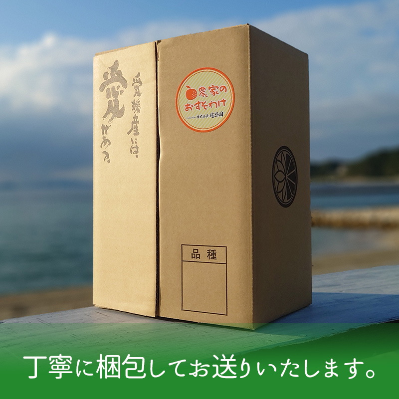 【先行予約】 【11月下旬から発送】 あいか ご家庭用 5kg 愛果28号 | 柑橘 みかん 果物 くだもの フルーツ おすすめ 高級 人気 お取り寄せ グルメ ギフト 期間限定 数量限定 ご当地 愛媛県 松山市