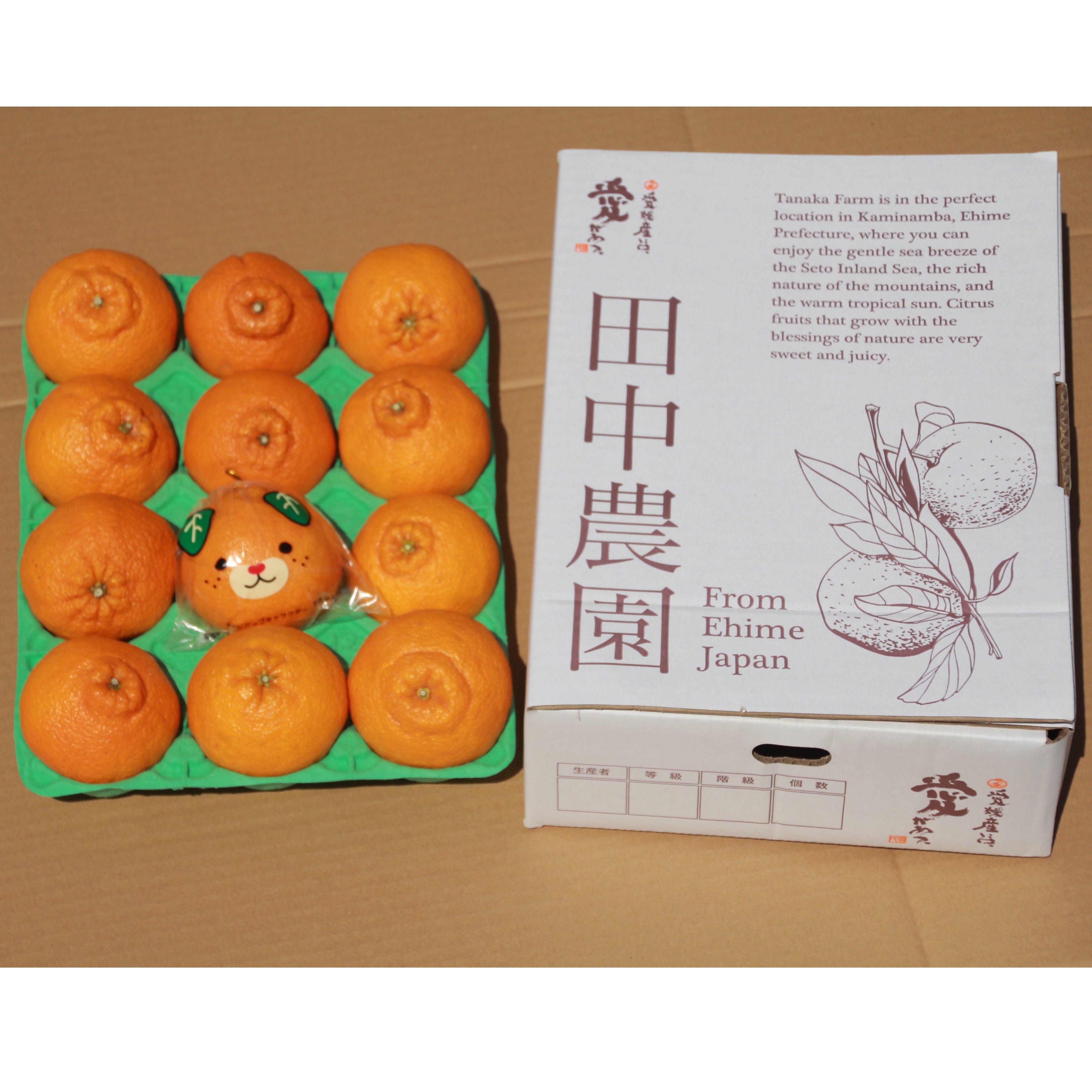 【2027年2月下旬頃から順次発送】不知火 しらぬい  約3kg  家庭用 でこぽんと同品種   愛媛県産 