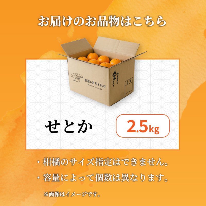 【2027年2月下旬から順次発送】せとか B品 家庭用 2.5kg | セトカ みかん 蜜柑 柑橘 甘い 高級 果物 フルーツ おすすめ 人気 愛媛三大柑橘（ 紅まどんな せとか 甘平 ） 愛媛 松山