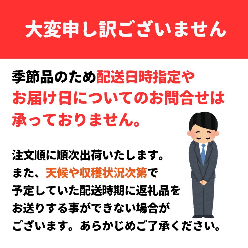 【訳あり】 新玉ねぎ 約5kg 【4月上旬頃～6月下旬頃発送予定】 | 新玉 新玉ねぎ 野菜 新玉葱 たまねぎ タマネギ 玉ねぎ 玉葱 野菜 愛媛 松山