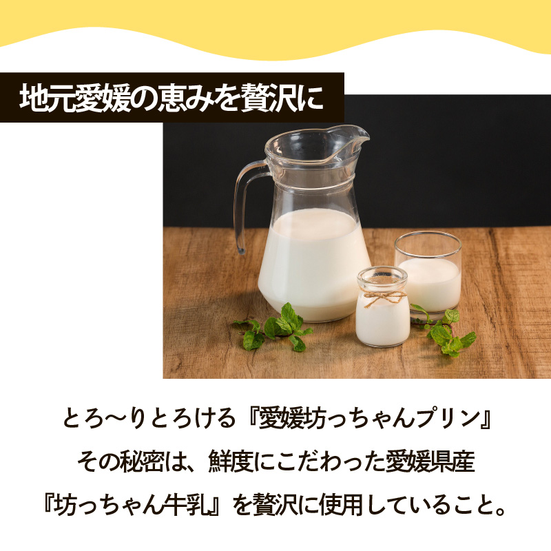 愛媛坊っちゃんプリン 12個セット ・ なめらか / レトロ | プリン 洋菓子 保存料不使用 お菓子 スイーツ デザート 卵 たまご タマゴ ぷりん セット 詰め合わせ 土産 愛媛県 松山市 愛媛坊っちゃんプリン