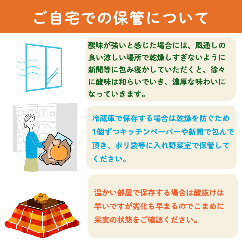 【2027年2月上旬頃から順次発送】甘平 家庭用 1kg　4～5玉 お試しサイズ Sから4Lサイズ混合  | 柑橘 みかん 蜜柑 果物 くだもの フルーツ おすすめ 国産 お取り寄せ グルメ ギフト 期間限定 数量限定 ご当地 愛媛 松山 蓮果園