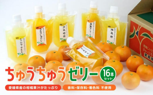 【大人気】 ちゅうちゅうゼリー （175g）×16本セット 果汁 ゼリー 飲料 柑橘 ゼリー パック みかん 果物 ゼリー スイーツ 愛媛県 松山市 おすすめ人気