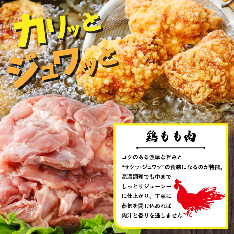 【定期便2回】松山どり もも肉 2kg×2パック×2回 計8kg | 定期便 国産 鶏肉 小分け 若鶏 冷凍 愛媛県 松山市 株式会社ビージョイ