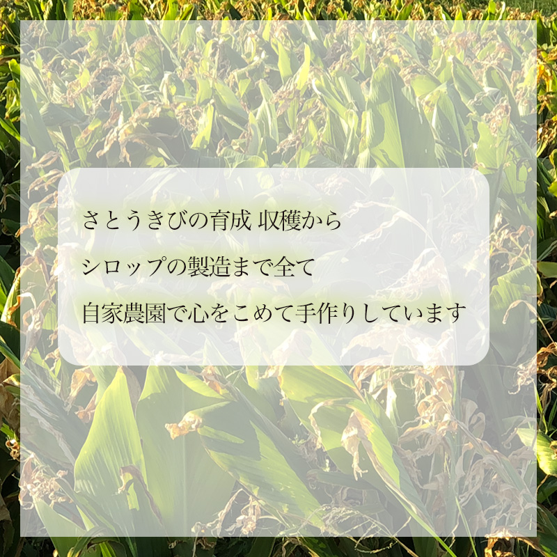 さとうきび シロップ３個 セット（化粧箱入り）| （黒糖 きび キビ さとう 糖 自然派 シロップ 使い方 ヨーグルト アイスクリーム トースト パンケーキ スイーツ かける 愛媛 松山）