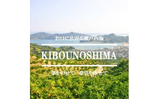 【2027年5月上旬頃から順次発送】完熟春みかん カラマンダリン 5kg M~2Lサイズ