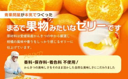 ちゅうちゅうゼリー （175g）×8本セット 果汁 ゼリー 飲料 柑橘 ゼリー パック みかん 果物 ゼリー スイーツ 愛媛県 松山市 人気おすすめ OF001