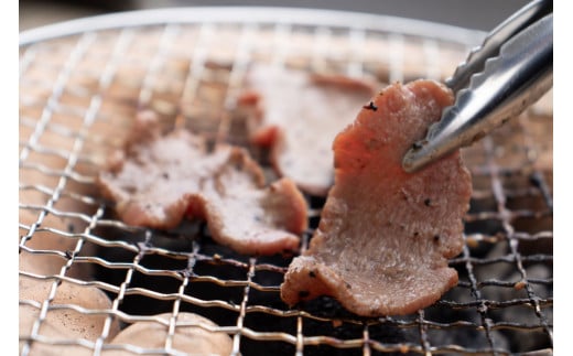 訳あり 特製塩だれ 牛たん 650g 牛タン タン肉 焼肉 焼き肉 BBQ 不揃い 切り落とし カット済み お取り寄せ 小分け タン先 タン中 簡単料理 キャンプ 冷凍 ご飯のお供 おかず 惣菜 松山市 愛媛県 たん 牛たん キャンプ飯 愛媛 松山 えひめ まつやま 冷凍 簡単調理 アウトドア 焼くだけ 食品 スライス タン塩 たん塩 ぎゅうたん ギュウタン わけあり ワケアリ 牛たん塩