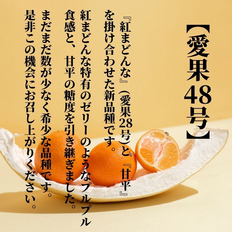 【2027年2月下旬頃から順次発送】愛果48号　家庭用 約5kg  | 愛媛 愛媛県産みかん 蜜柑 ミカン mikan みかん あいか  柑橘 お取り寄せ グルメ 期間限定 数量限定 あまい甘い 果物 旬  美味しい  愛媛県 松山市
