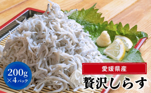 しらす 釜揚げ 800g ( 200g × 4パック ) 冷凍 小分け 約12人前 しらす丼 丼ぶり 魚 さかな ご飯 ごはん 炒飯 チャーハン パスタ スパゲティ サラダ 卵焼き 釜揚げ 釜揚げしらす お取り寄せ グルメ 人気 おすすめ 愛媛県 松山市