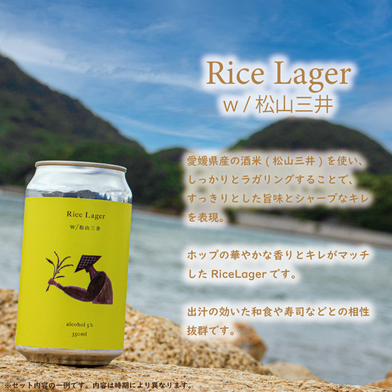 【定期便/12回】 クラフトビール おまかせ 4本 セット おすすめ 興居島 瀬戸内 四国 離島 醸造 お酒 地ビール ご当地 ビール びーる くらふとびーる 送料無料 愛媛県 松山市