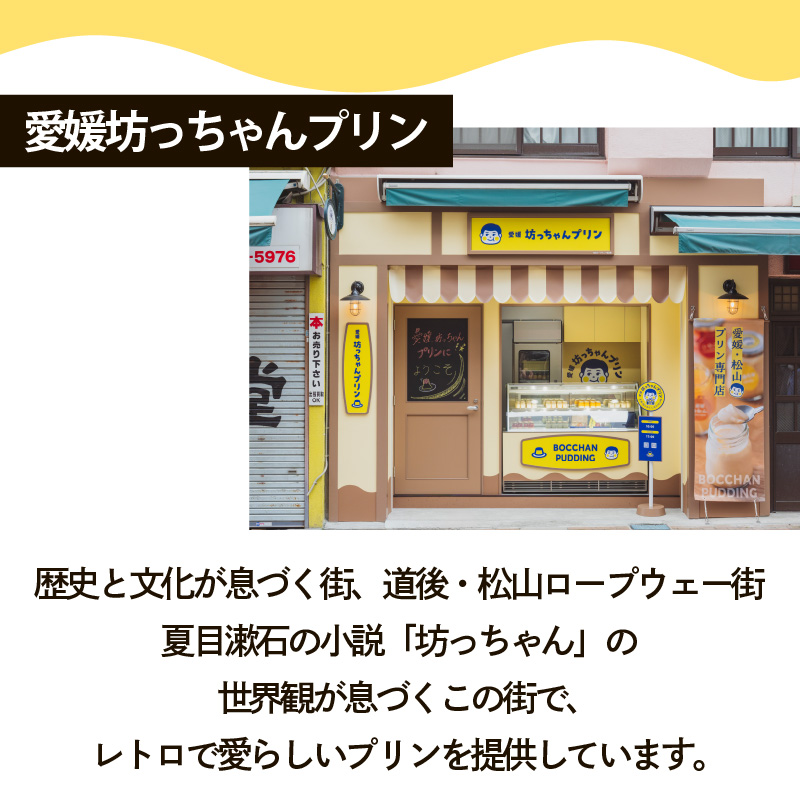 愛媛坊っちゃんプリン 12個セット なめらかプリン | プリン 洋菓子 保存料不使用 お菓子 スイーツ デザート 卵 たまご タマゴ ぷりん セット 詰め合わせ 土産 愛媛県 松山市 愛媛坊っちゃんプリン