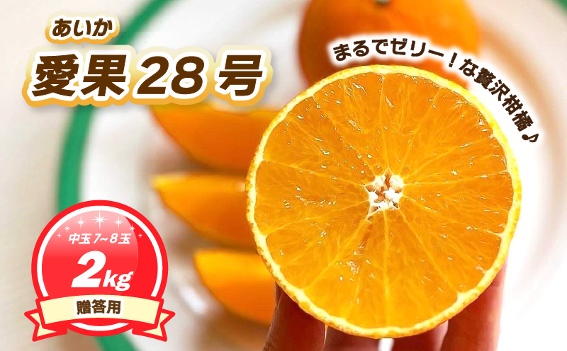 贈答用 愛果28号 (紅まどんな と同品種) 2kg 中玉7-8玉入り 【2025年11月下旬ごろ発送予定】 | あいか ご家庭用 みかん 数量限定 みかん 愛媛県産 みかん 愛果28号 松山市 みかん 愛果28号 みかん 蜜柑 愛果28号 ミカン みかん 旬 愛果28号