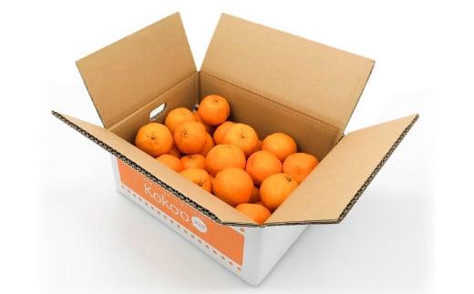 【2026年4月上旬頃から発送予定】カラマンダリン 家庭用(優品) 約3kg （ 愛媛産 愛媛県産 国産 愛媛みかん 愛媛蜜柑 愛媛ミカン みかん ミカン mikan 蜜柑 柑橘 フルーツ 果物 くだもの お取り寄せ 産地直送 数量限定 人気 おすすめ 愛媛県 松山市 送料無料 ）