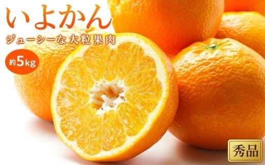 【2027年1月中旬頃から順次発送】いよかん＜秀品＞約5kg （ 愛媛産 愛媛県産 国産 愛媛みかん 愛媛蜜柑 愛媛ミカン みかん ミカン mikan 蜜柑 柑橘 フルーツ 果物 くだもの お取り寄せ 産地直送 数量限定 人気 おすすめ 愛媛県 松山市 送料無料 ）