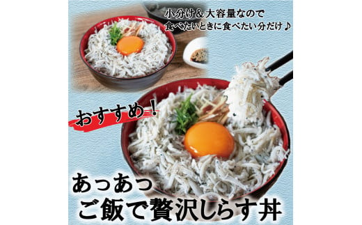 家庭用 釜揚げ しらす 約1.5kg | 家庭用 冷凍 しらす しらす干し ごはんのお供 おつまみ 酒の肴 小分け 便利 簡単調理 おかず 惣菜 しらす丼 グルメ 食品 魚 魚介 海鮮 シラス 愛媛県 松山市 しらす