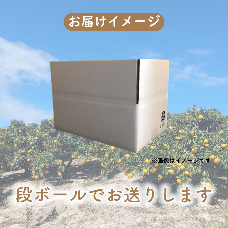 【愛媛県産】 訳あり せとか 約3kg ＜2月下旬～発送予定＞ 柑橘 みかん せとか セトカ 果物 くだもの フルーツ おすすめ 高級 人気 お取り寄せ グルメ ギフト 期間限定 数量限定 ご当地 愛媛県 松山市 たかぎ果樹園