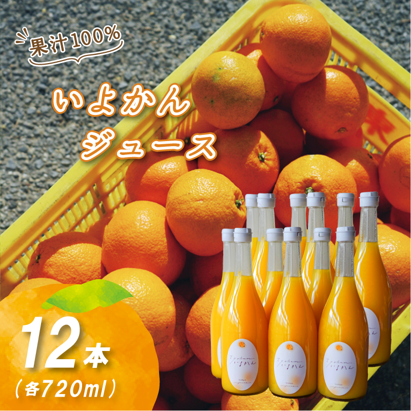 【2027年3月中旬頃から順次発送】いよかんストレート果汁100％ジュース 720ml×12本 | 数量選択可 果汁100% 無添加 伊予柑 ストレートジュース 数量選択可 | みかんジュース 果汁100% みかんジュース いよかん ストレート 100% ジュース 柑橘 果汁飲料 みかんジュース NPO法人農音 愛媛県 松山市 中島