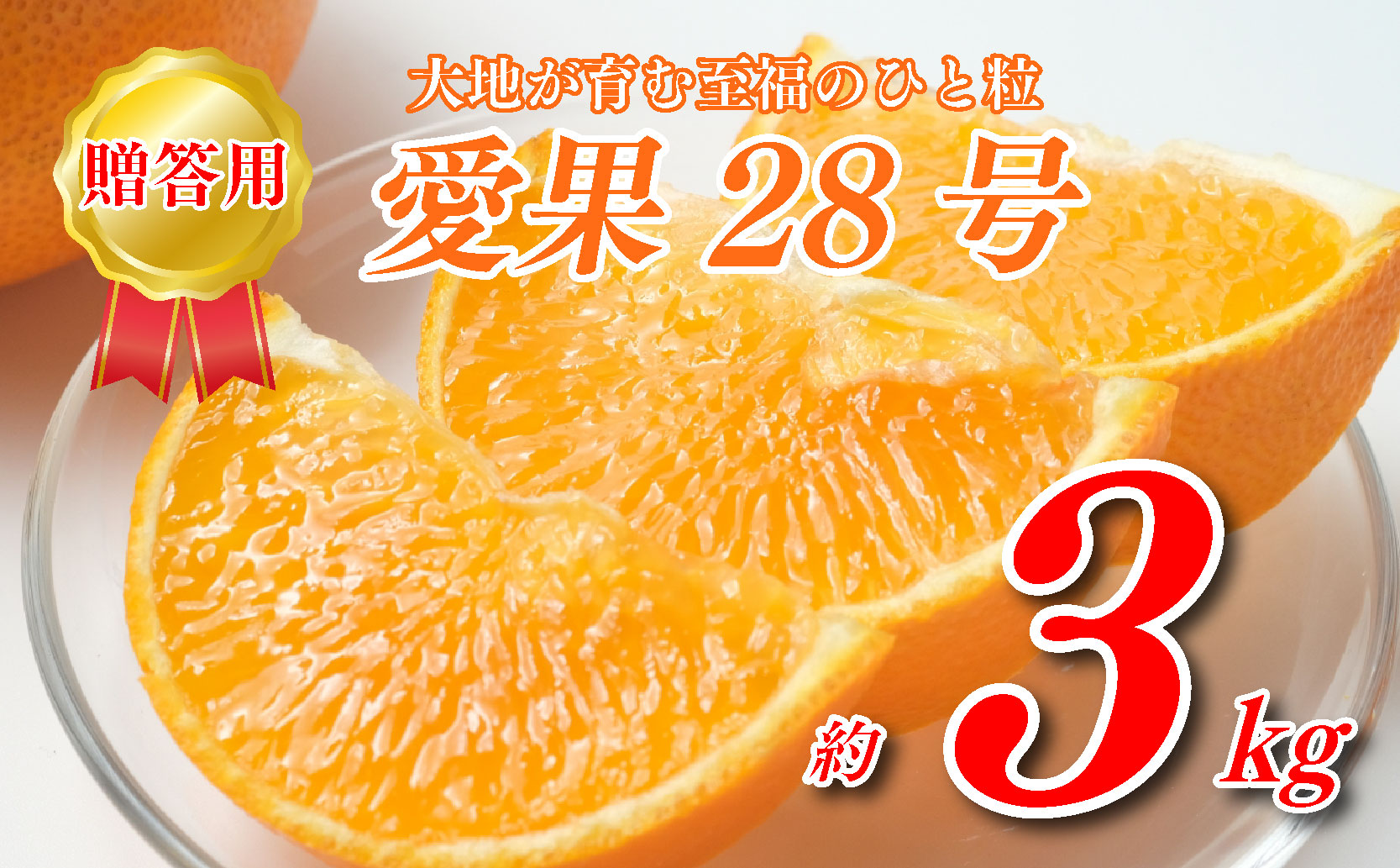 愛果28号 3kg 贈答用 寿 あいか 極上 田中農園 あいか 愛果 みかん 柑橘 蜜柑 フルーツ 先行予約 松山市 愛媛県 数量限定 【 2024年 11月 12月発送 】