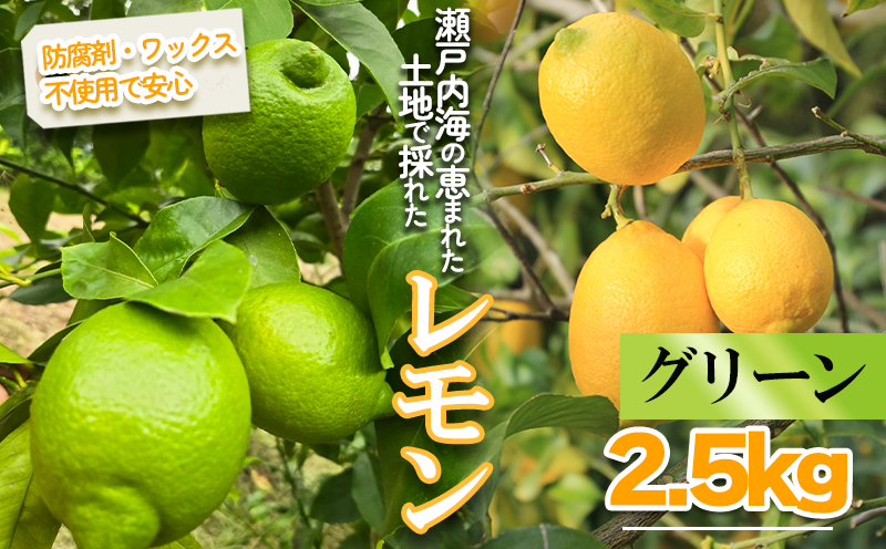 とれたてグリーンレモン 約2.5kg ｜果物 くだもの フルーツ レモン れもん 檸檬 柑橘 防腐剤不使用 ワックス不使用 グリーンレモン ぐりーんれもん 国産 愛媛県産 国産レモン 