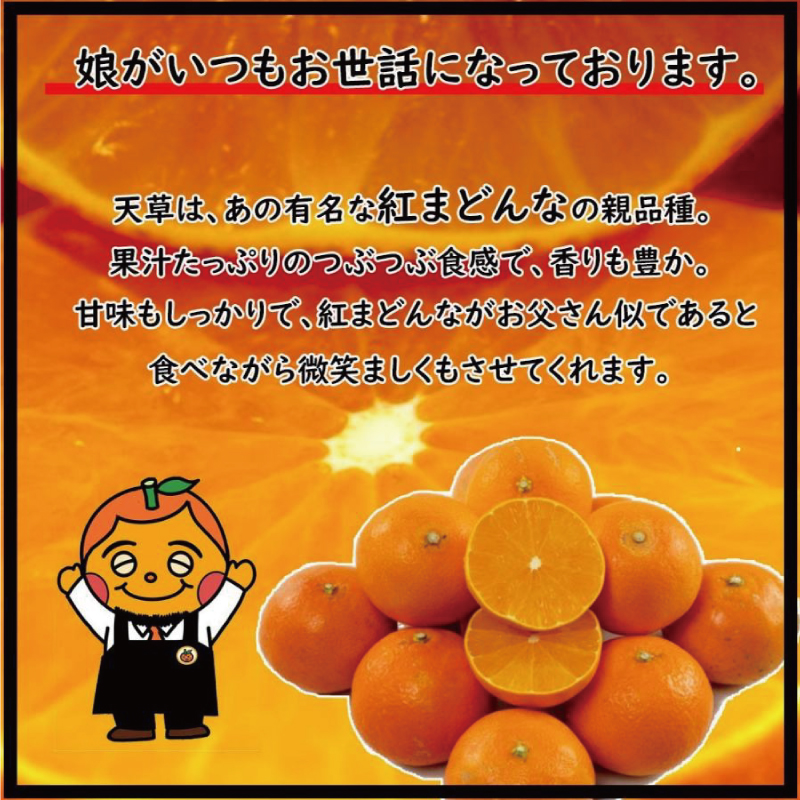 訳あり みかん 家庭用 あまくさ 約2㎏ ( 訳あり みかん 訳あり柑橘 訳あり商品 あまくさ みかん 柑橘 松山 愛媛県 )