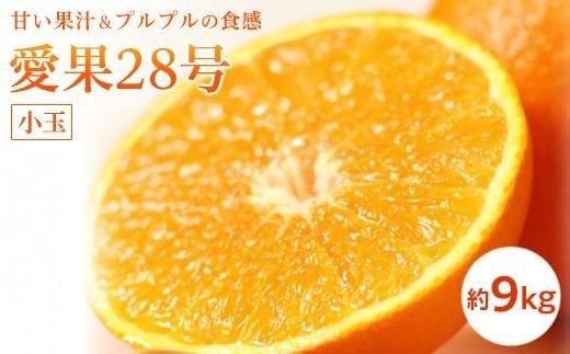 【2026年11月中旬頃から発送予定】 愛果28号 (紅まどんな と同品種) 小玉 約9kg  |  愛媛産 愛媛県産 国産 愛媛みかん 愛媛蜜柑 愛媛ミカン みかん ミカン mikan 蜜柑 柑橘 フルーツ 果物 くだもの お取り寄せ 産地直送 数量限定 人気 おすすめ 愛媛県 松山市 送料無料