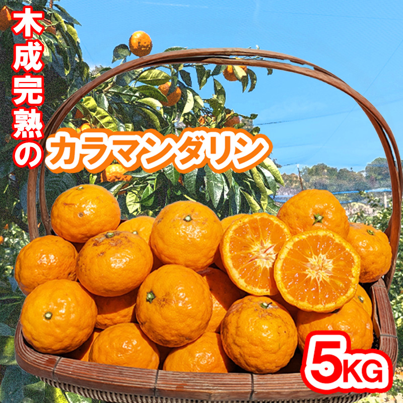 【5月から発送】 春 みかん カラマンダリン 家庭用 5kg｜みかん 蜜柑 旬 わけあり 訳あり 甘い 柑橘 果物 フルーツ 糖度 愛媛 松山