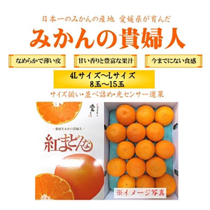 紅まどんな 約3kg（8~15玉）4L～Lサイズ 紅まどんな 愛媛 みかん 紅マドンナ 紅まどんな 蜜柑 柑橘 果物 松山市の紅まどんな 贈答 愛媛のみかん くだもの フルーツ 愛媛県 松山市 JAえひめ中央の紅まどんな 愛媛が誇る高級柑橘『紅まどんな』 愛媛の紅まどんな