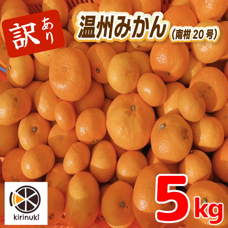 【12月中旬から発送予定】 温州みかん 5kg （ 訳あり ） | みかん 柑橘 訳あり みかん ミカン 柑橘 みかん 柑橘 5kg 愛媛県 松山市